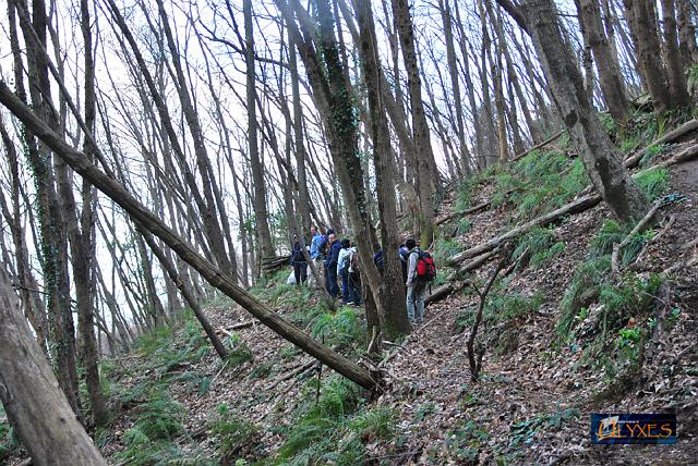 attraversando il bosco.JPG